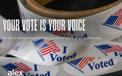 Your Vote Is Your Voice