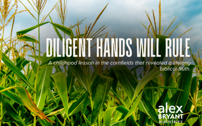 Diligent Hands Will Rule